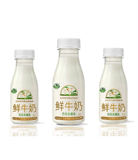 PE瓶鲜奶（250ML）