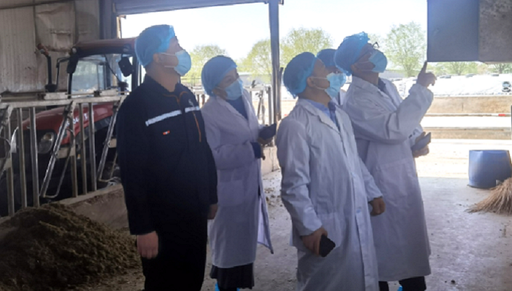 庄园牧场各子公司开展节前安全检查、环境整治活动