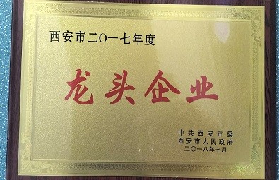 2017年度龙头企业